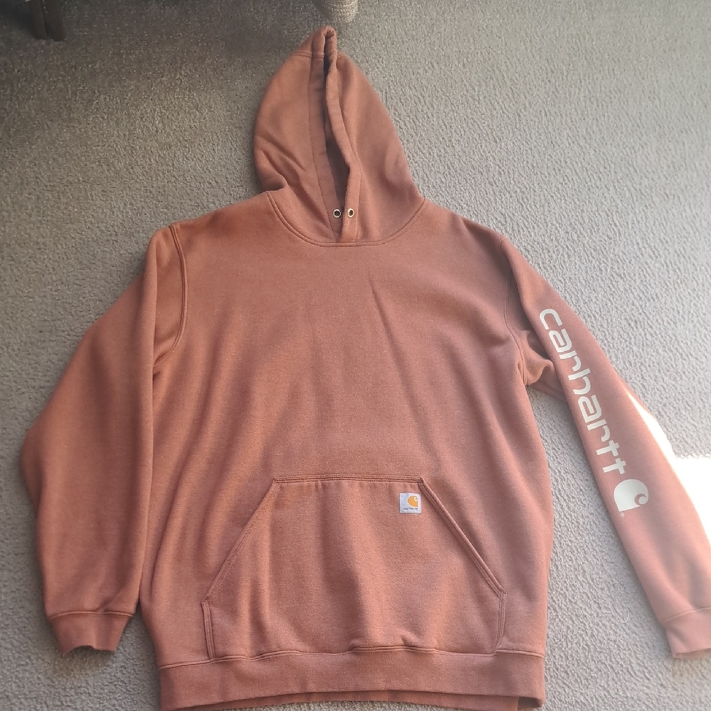 Carhartt Men's Rust Hoodie